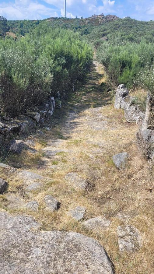Casinhas Da Eira Caramulo Turismo Rural Arca Esterno foto
